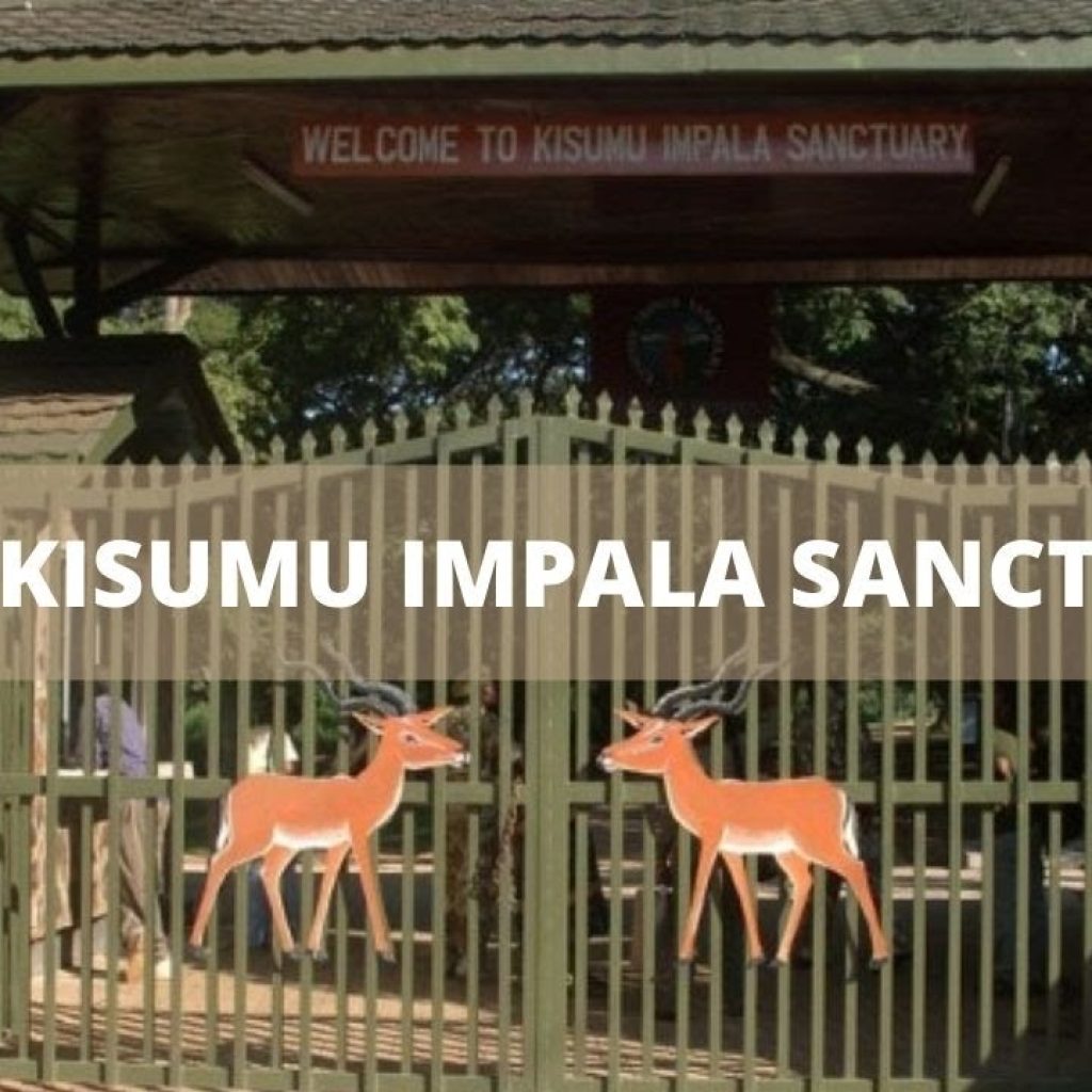 Kisumu Impala Sanctuary
